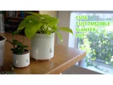 Cute Planter-0