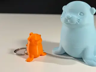 Cute Seal