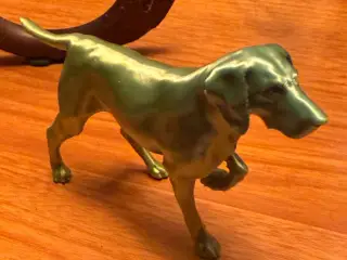 German Shorthaired Pointer