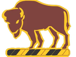 4th Squadron 10th Cavalry Regiment- Blackjack