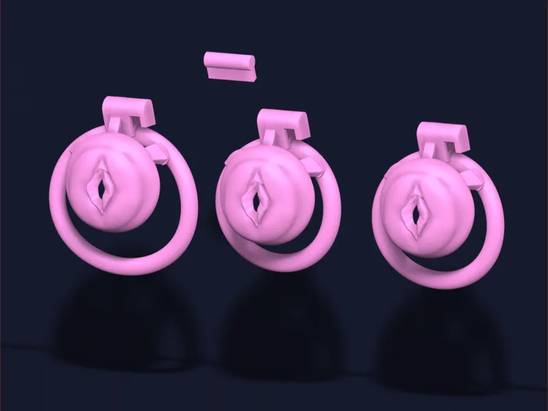 Chastity Cage vagina