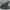 Low Poly Blue Whale