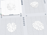 Monstera Leaves-0