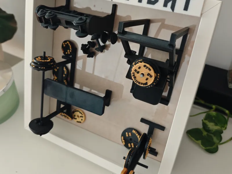 Regalo de equipamiento para culturistas