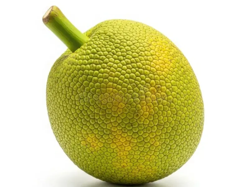 fruta de pan