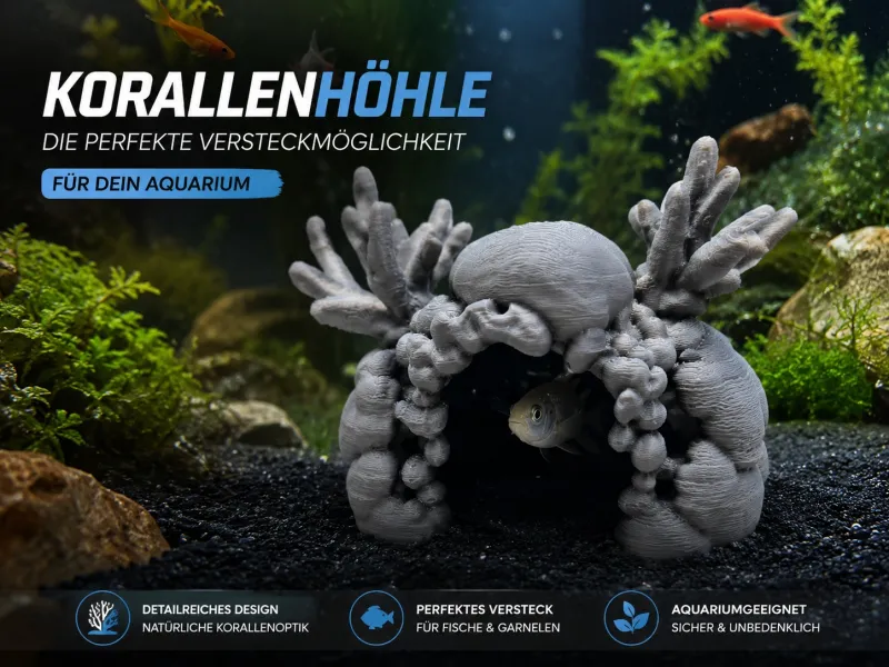 Korallen Höhle 2.0 mo