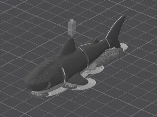 flexi shark