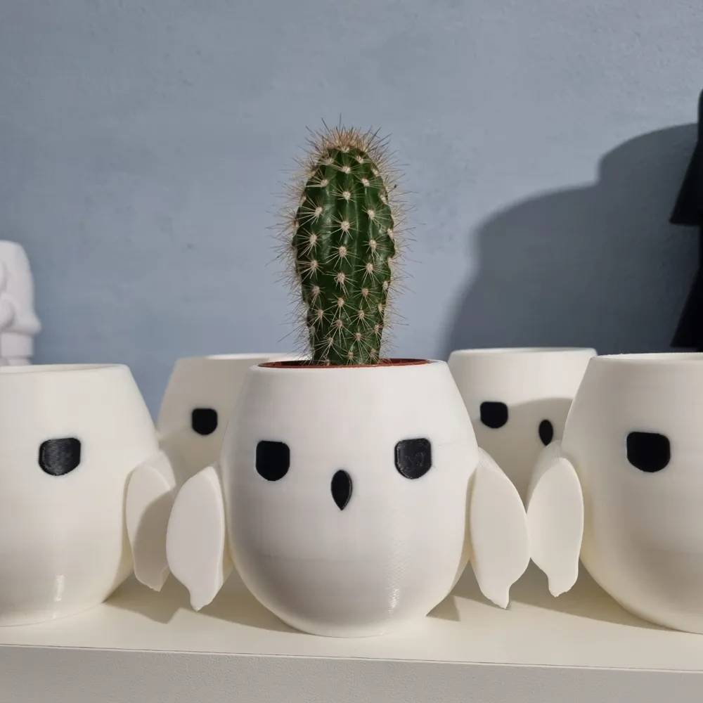 Home print settings: Hedwig.3mf