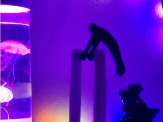 Jumping Man Fidget Toy