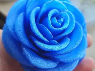 Unendliche Rose