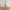 The Eiffiel Tower