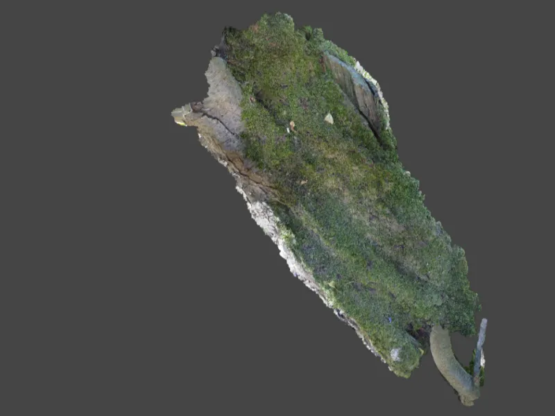 Pika scan of mossy log