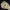 Common Carp Fish Skull – 3D Printable Skull Imitation