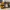 PikaBridge_2.0