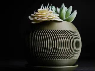 solis · planter
