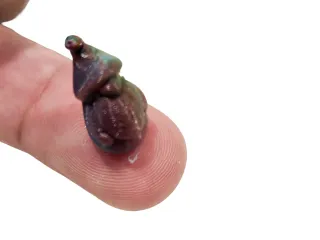 Miniature Gnome