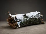 Snowy Logs Pack for DnD-0