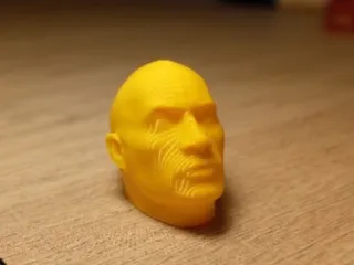 The Rock head