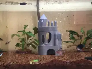 Aquarium Lock