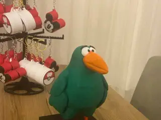 Perrot Pady