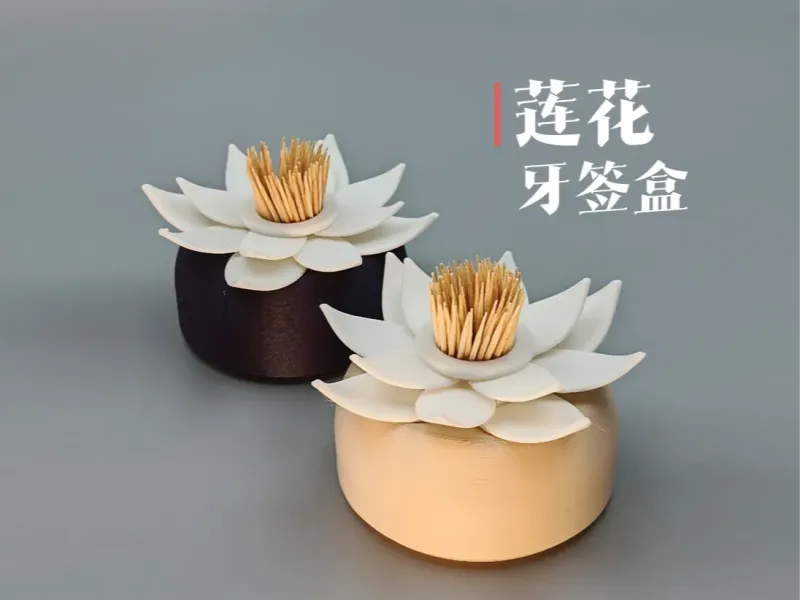 Boîte à cure-dents en forme de lotus