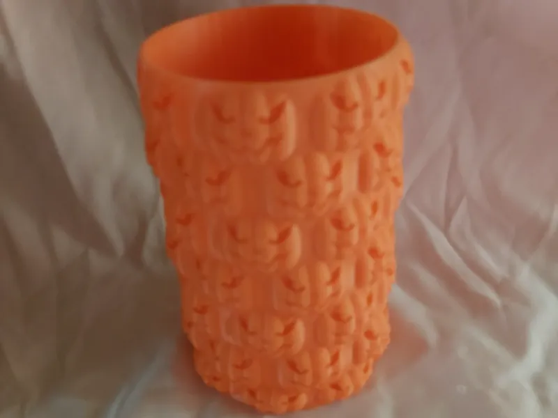 Pumpkins Can Koozie