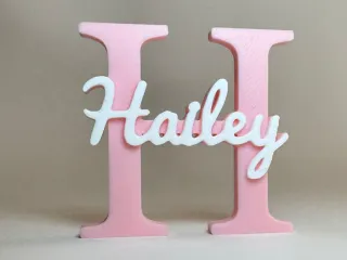 Placa de Identificação 3D - Hailey