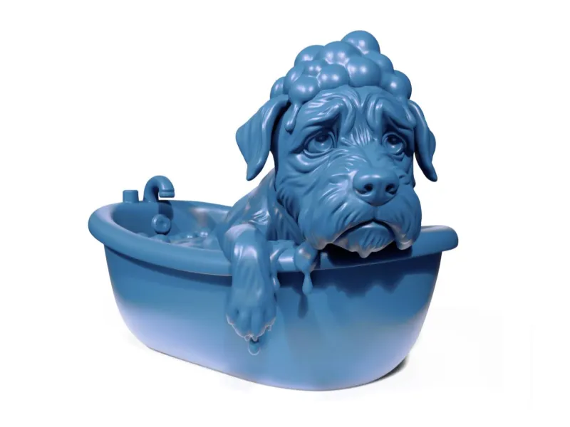 Dog in bathtub