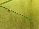Shelf pin-0