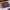 Minnesota Vikings - Football Gameday 2.0 EDC-dienblad