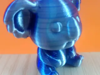 Koala Cute