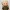 mini Legolas from the hobbit movies