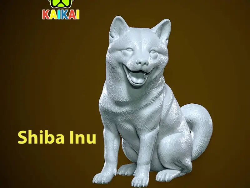 Shiba Inu model - Japanese small dog breed - 3D print