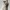 Cake Topper 01