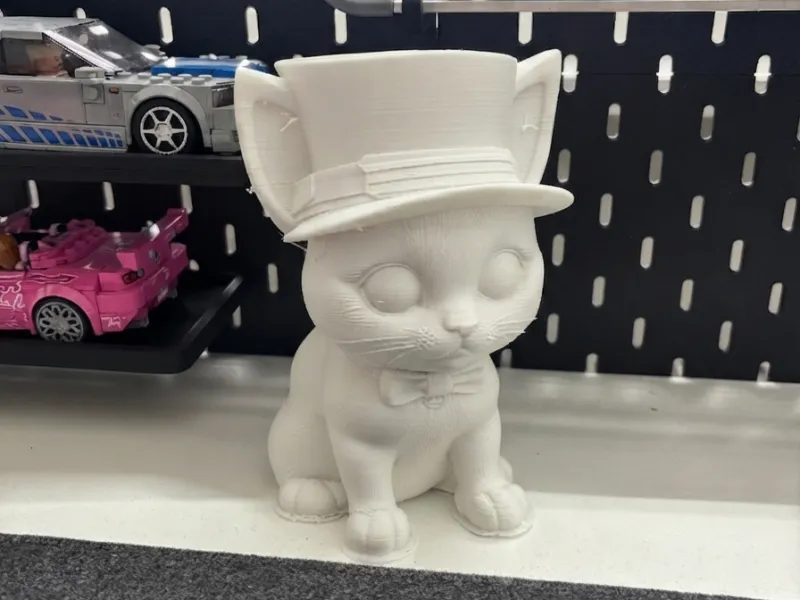 Adorabile 🐱 con il cappellino