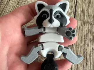 Articulated Racoon