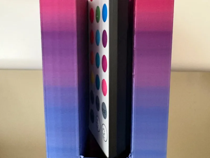 remote holder