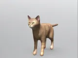 Cat-0