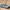 Black Panther K2 (2026) tank
