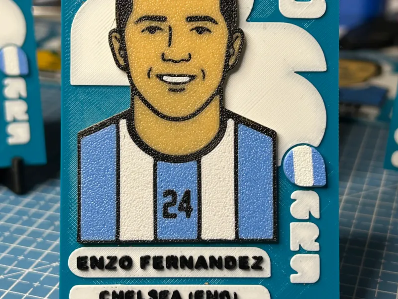 Figurina ENZO FERNANDEZ panini WK