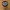dosendeckel-330ml-500ml-v23-harley-davidson-v2