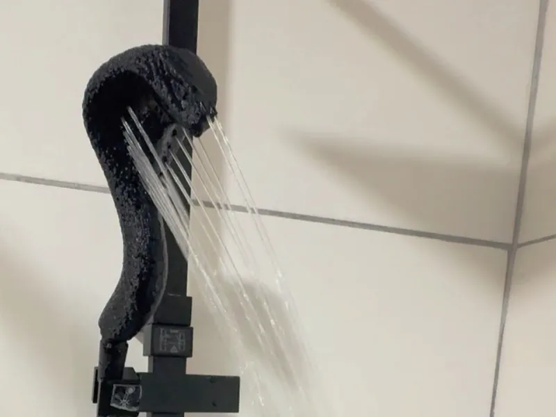 Cobra Wash — Cobra Royal Shower Head