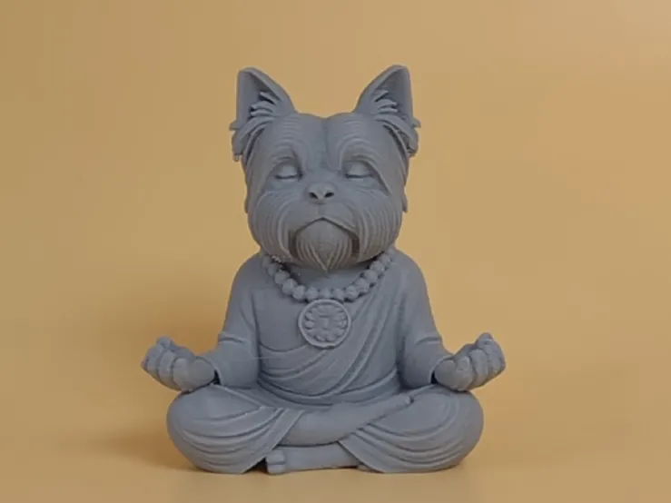Yorkshire Terrier Meditating