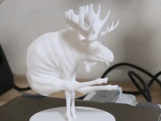 moose acrobat