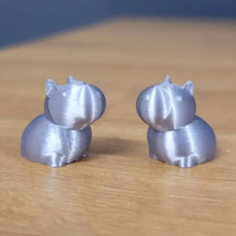 Capybara hoodie drwastring
