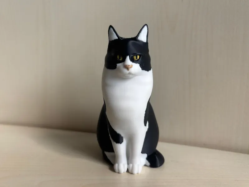 Truciolo die Tuxedo-Katze (KEINE SUPPORTS)