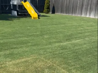 Frisbee