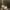 CatPlanter+v1