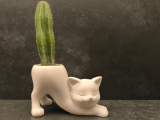 CatPlanter+v1-0