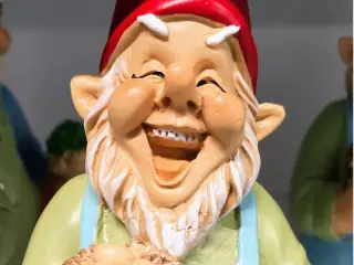 cheerful garden gnome